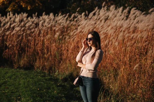 Een mooi meisje in een blauwe jurk is wandelen in het park. Zonnige dag. Zomer — Stockfoto