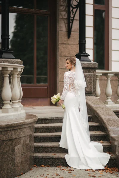 Noiva elegante em vestido de noiva lindo stand nas escadas pelo palácio — Fotografia de Stock