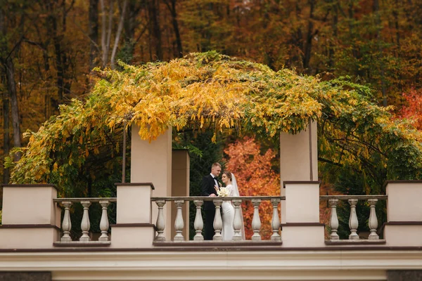 Casal lindo stand na varanda. Noiva elegante e noivo no outono tempo fora — Fotografia de Stock