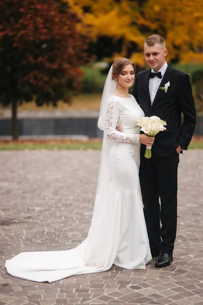 Hermoso otoño en el parque. Una pareja casada despertando junto al gran árbol amarillo — Foto de Stock