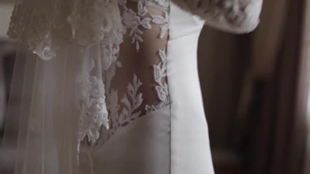 Hermoso vestido de novia en novia encantadora. Elemento de joyería — Vídeos de Stock