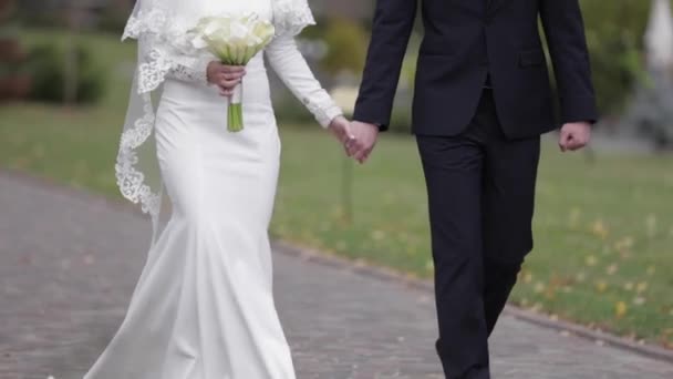 Lyckliga nygifta promenader i parken. Elegant brud och handome brudgummen utanför — Stockvideo