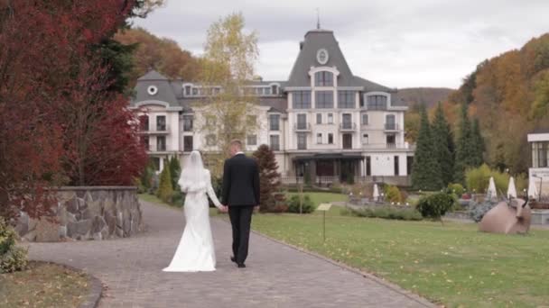 Gelukkig jonggehuwden wandelen in het Park. Elegante bruid en handome bruidegom buiten — Stockvideo