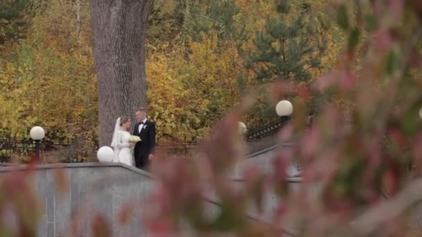 O noivo e a noiva ficam no topo das escadas e olham para a floresta. Contexto da floresta de outono — Vídeo de Stock