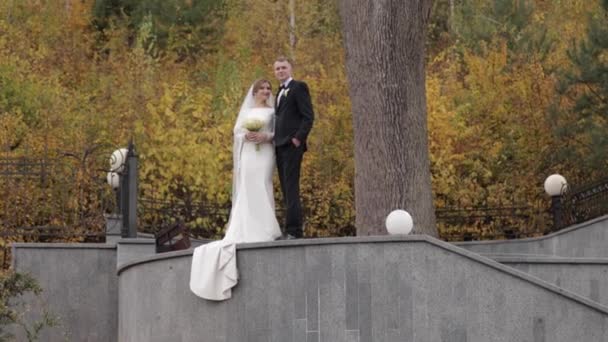 El novio y la novia se paran en la parte superior de las escaleras y miran el bosque. Fondo del bosque de otoño — Vídeo de stock