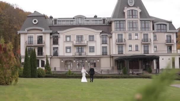 Back view of groom and bride walking to the palace — Stock Video