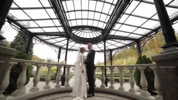 Счастливая супружеская пара стоит на красивом балконе у дворца — стоковое видео