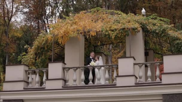 Piękny ślub para stoisko na te Autumn balkon, tło z Las — Wideo stockowe