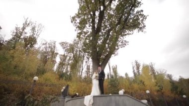 Mutlu düğün çift büyük ağacın önünde durmak. Ormanın arka planı