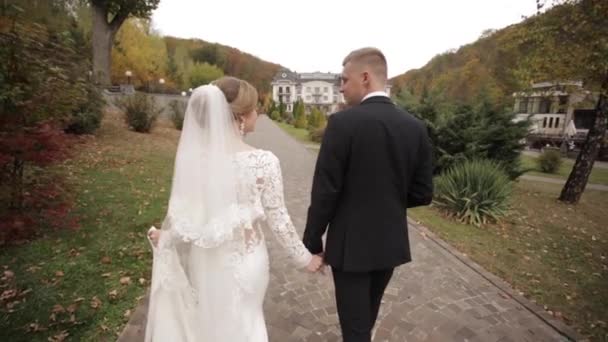 Vista trasera de los recién casados caminando por el parque — Vídeo de stock