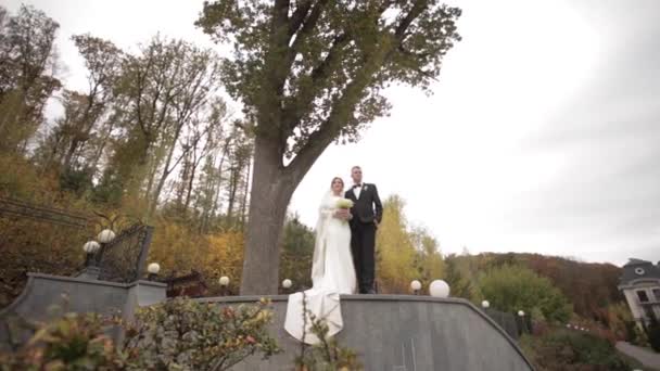 Счастливая свадебная пара стоит перед большим деревом. История лесов — стоковое видео