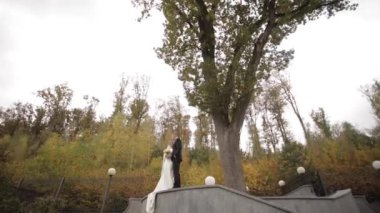 Mutlu düğün çift büyük ağacın önünde durmak. Ormanın arka planı