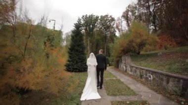 Parkta yürüyen yeni evlilerin arka görünümü