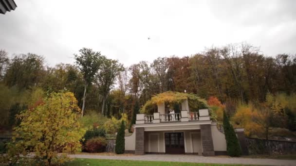 Beau couple de mariage debout sur le balcon d'automne, fond de forêt — Video