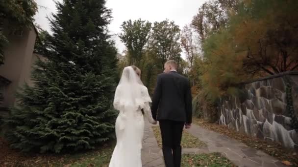 Vue arrière du marié et de la mariée marchant vers le palais — Video