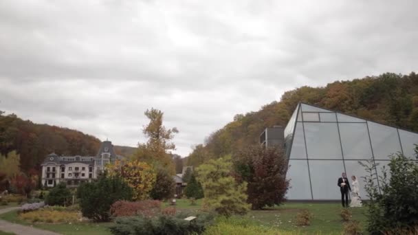 Knappe bruidegom en charmante bruid tijd samen doorbrengen na huwelijksceremonie in het Park — Stockvideo