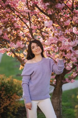 Parktaki sakura ağacının önünde mor bir kazak standında çekici genç kadın