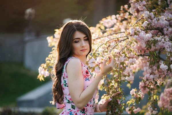 Elegante Frau in schönem Kleid steht am rosa Baum im Park — Stockfoto