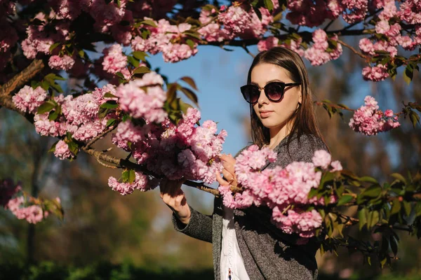 Hermosa chica en chaqueta y gafas de sol de pie junto al árbol de sakura. Hermoso árbol rosa en el parque —  Fotos de Stock