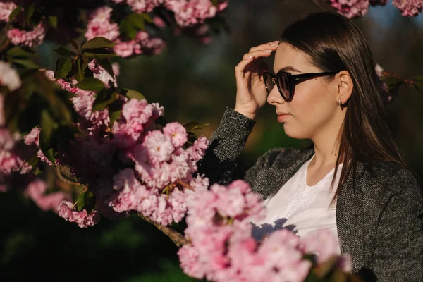 Hermosa chica en chaqueta y gafas de sol de pie junto al árbol de sakura. Hermoso árbol rosa en el parque —  Fotos de Stock