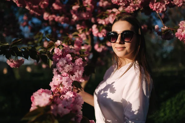 Schöne Frau mit Sonnenbrille steht im Sakura-Baum — Stockfoto