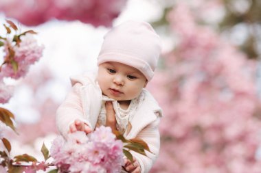 Pembe dalları arasında sevimli bebek kız broşürler ile oynamak. Mutlu küçük kız sakura ile çevrili