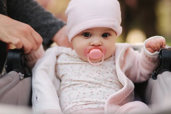 Hermosa niña sentada en su cochecito. Cinco meses lindo bebé agarre las manos de las mamás — Foto de Stock