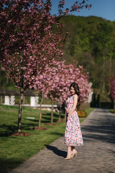 Attraktives junges Mädchen, das im Park in der Nähe des rosa Baumes spaziert. Sakurabaum — Stockfoto