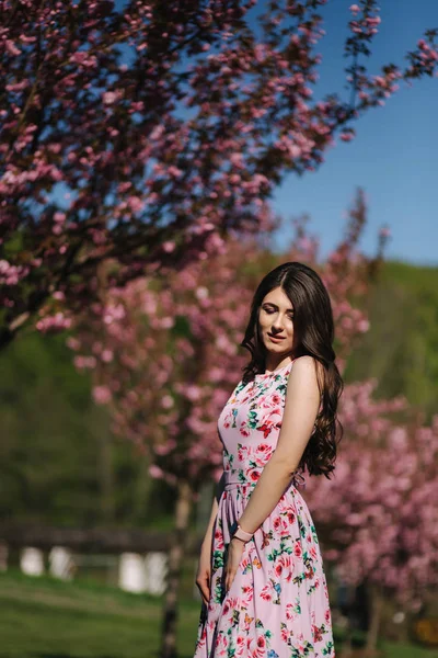 Приваблива молода дівчина гуляє в парку біля рожевого дерева. Сакура дерево — стокове фото