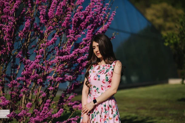 Hermosa mujer de pie junto a violeta árbol floreciente. Fondo azul. Modelo de moda — Foto de Stock