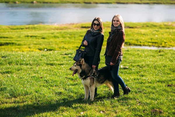 İki kız kardeş dışarıda husky köpekle yürüyorlar. Evcil hayvanlarla mutlu arkadaşlar — Stok fotoğraf