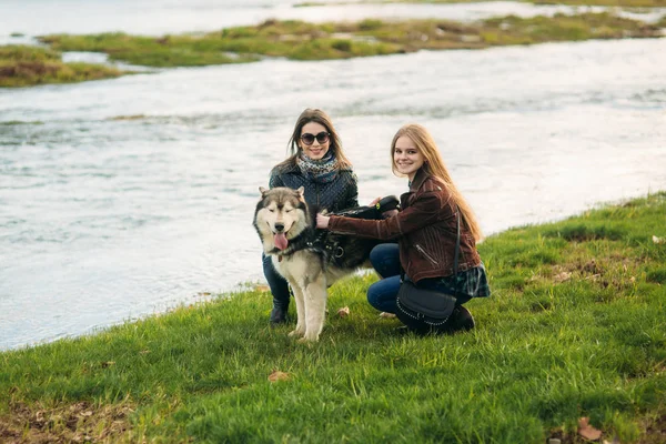Zwei Hündinnen spazieren mit Husky-Hund am Fluss entlang. Freund mit Haustieren — Stockfoto