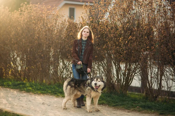 Schöne junge Mädchen gehen mit Husky-Hund. glückliche Hündin mit ihrem Haustier — Stockfoto