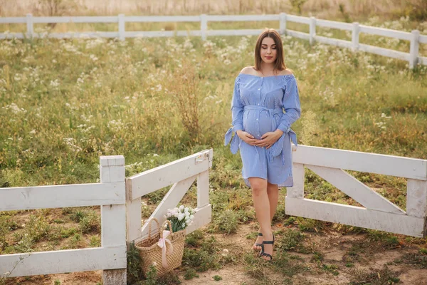 Belle femme enceinte pose à la caméra et sourire. Femme debout dans la nature et le champ de pensée de marche près de la ferme — Photo
