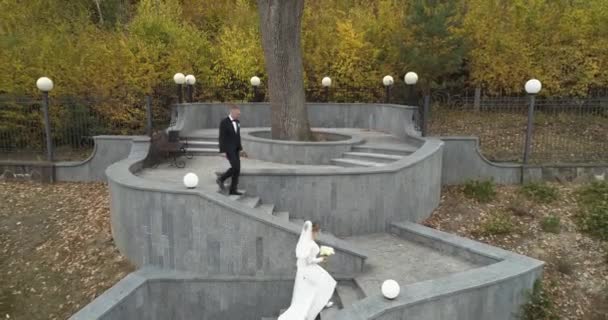 Copter view of wedding. Groom and bride walking though thw big park surrounded by forest — Stock Video