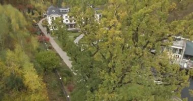 Düğün copter görünümü. Damat ve gelin orman ile çevrili thw büyük park olsa yürüyüş