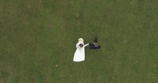Vista en helicóptero de la boda. novio y novia caminando aunque thw gran parque rodeado de bosque — Vídeo de stock