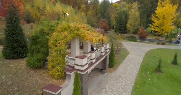 Vista elicottero del matrimonio. Sposo e sposa a piedi anche se thw grande parco circondato dalla foresta — Video Stock