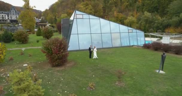 Vista elicottero del matrimonio. Sposo e sposa a piedi anche se thw grande parco circondato dalla foresta — Video Stock