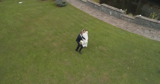 Vista elicottero del matrimonio. Sposo e sposa a piedi anche se thw grande parco circondato dalla foresta — Video Stock