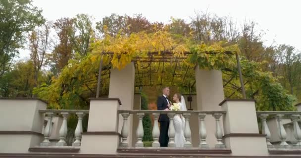 Vista de Copter de casamento. noivo e noiva caminhando através thw grande parque cercado por floresta — Vídeo de Stock