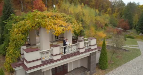 Vista elicottero del matrimonio. Sposo e sposa a piedi anche se thw grande parco circondato dalla foresta — Video Stock