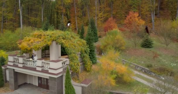 Copter view of wedding. Groom and bride walking though thw big park surrounded by forest — Stock Video