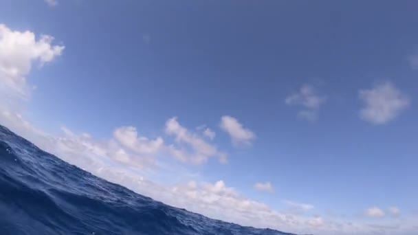 First person view of diver dived out of the water — Stock Video