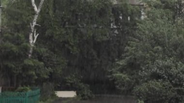 Parkta şiddetli sağanak yağış var. Yağmur video