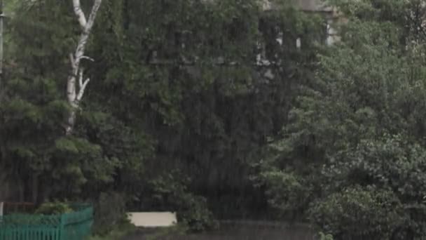 Uma chuva forte no parque. Vídeo de chuva — Vídeo de Stock