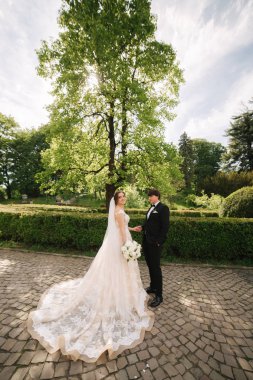 Damat ve gelin parkta büyük ağacın yanında duruyor