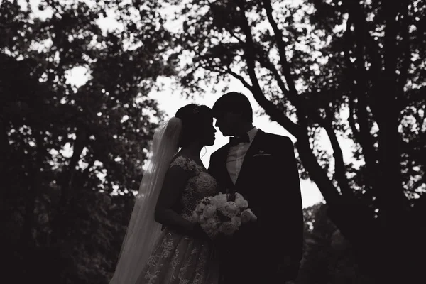 Silhouette de deux personnes qui s'embrassent. marié et mariée sur mariage — Photo