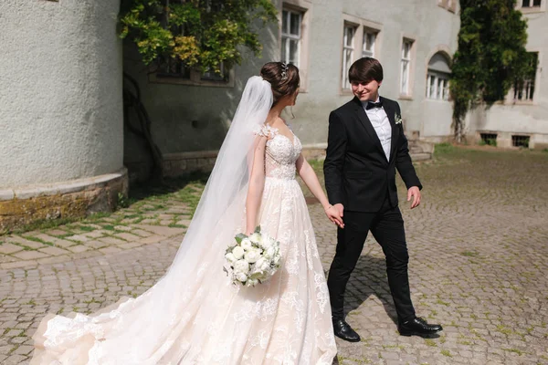 Gli sposi stanno passeggiando nel parco vicino al grande castello. Bella sposa con bello sposo — Foto Stock