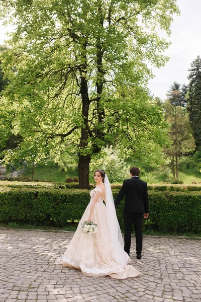 Noivo e noiva em pé junto à grande árvore no parque — Fotografia de Stock